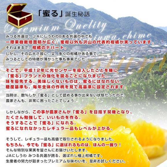 愛媛県産 JAにしうわ みつる共選 プレミアム清見タンゴール 蜜る 秀品 2LからLサイズ 約5キロ (18玉から25玉) 送料無料 柑橘 オレンジ 西宇和04