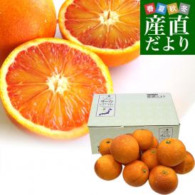 愛媛県産 JAえひめ南 ブラッドオレンジ タロッコ種 優品 2Lから3Lサイズ 2.5キロ (7玉から12玉前後)  送料無料 柑橘 国産オレンジ 国産ブラッド