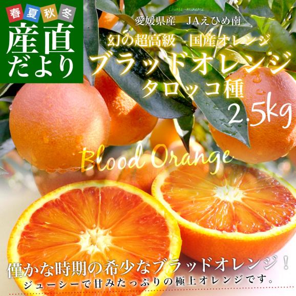 愛媛県産 JAえひめ南 ブラッドオレンジ タロッコ種 優品 2Lから3Lサイズ 2.5キロ (7玉から12玉前後)  送料無料 柑橘 国産オレンジ 国産ブラッド02