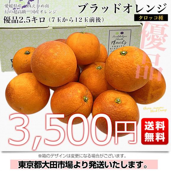愛媛県産 JAえひめ南 ブラッドオレンジ タロッコ種 優品 2Lから3Lサイズ 2.5キロ (7玉から12玉前後)  送料無料 柑橘 国産オレンジ 国産ブラッド03