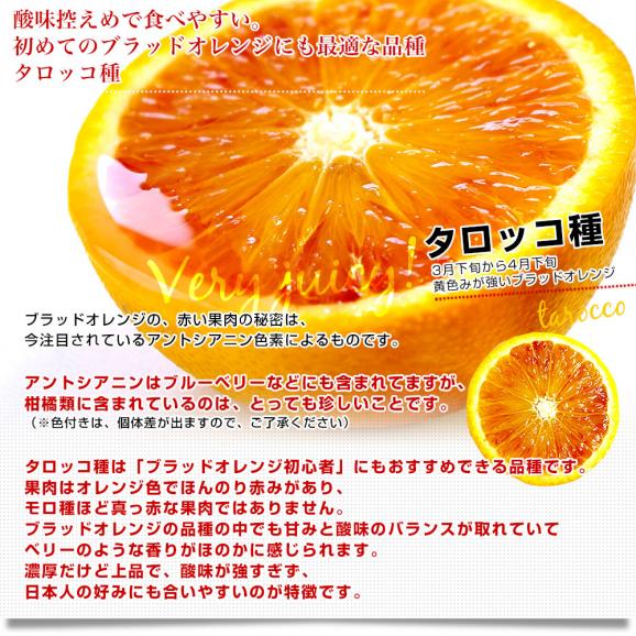 愛媛県産 JAえひめ南 ブラッドオレンジ タロッコ種 優品 2Lから3Lサイズ 2.5キロ (7玉から12玉前後)  送料無料 柑橘 国産オレンジ 国産ブラッド06