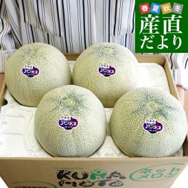 熊本県から産地直送 厳選アンデスメロン 大玉 4Lから3L  優品以上 約5キロ (3玉から4玉) ※ JA熊本市 JA熊本うき JAかもと 他 送料無料 メロン 青肉