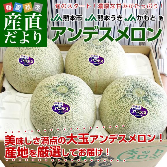 熊本県から産地直送 厳選アンデスメロン 大玉 4Lから3L 優品以上 約5キロ (3玉から4玉) ※ JA熊本市 JA熊本うき JAかもと 他 送料無料 メロン 青肉02