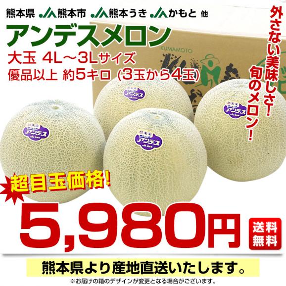熊本県から産地直送 厳選アンデスメロン 大玉 4Lから3L 優品以上 約5キロ (3玉から4玉) ※ JA熊本市 JA熊本うき JAかもと 他 送料無料 メロン 青肉03