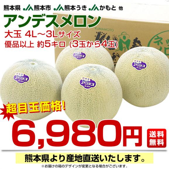熊本県から産地直送 厳選アンデスメロン 大玉 4Lから3L 優品以上 約5キロ (3玉から4玉) ※ JA熊本市 JA熊本うき JAかもと 他 送料無料 メロン 青肉03