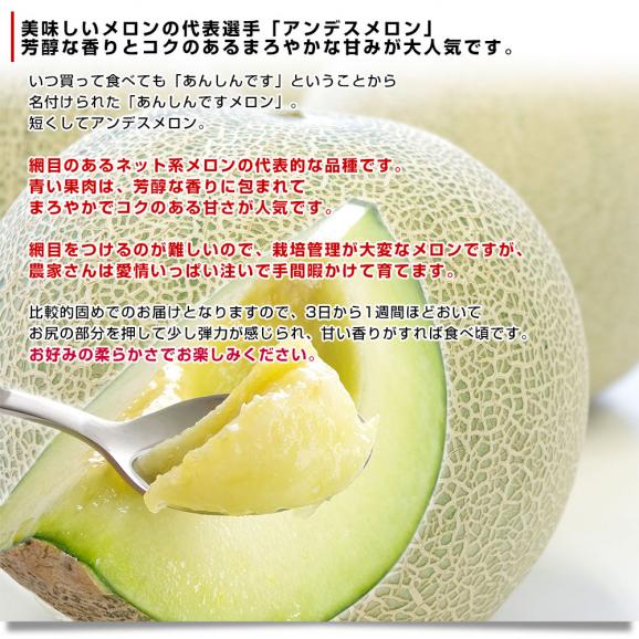 熊本県から産地直送 厳選アンデスメロン 大玉 4Lから3L 優品以上 約5キロ (3玉から4玉) ※ JA熊本市 JA熊本うき JAかもと 他 送料無料 メロン 青肉04