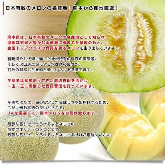 熊本県から産地直送 厳選アンデスメロン 大玉 4Lから3L 優品以上 約5キロ (3玉から4玉) ※ JA熊本市 JA熊本うき JAかもと 他 送料無料 メロン 青肉05