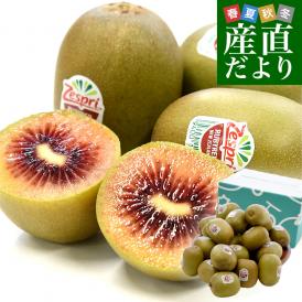 ニュージーランド産 ゼスプリ・ルビーレッド 新品種のキウイフルーツ 小玉 約1.6キロ（800g×2袋）合計16玉から19玉前後 送料無料 キウイフルーツ