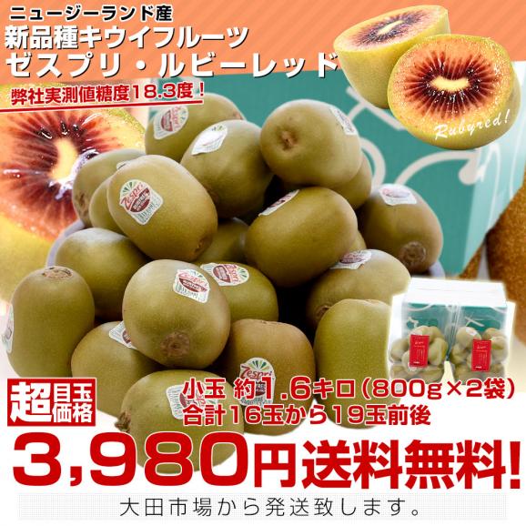 ニュージーランド産 ゼスプリ・ルビーレッド 新品種のキウイフルーツ 小玉 約1.6キロ(800g×2袋)合計16玉から19玉前後 送料無料 キウイフルーツ03