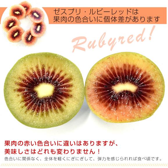 ニュージーランド産 ゼスプリ・ルビーレッド 新品種のキウイフルーツ 小玉 約1.6キロ(800g×2袋)合計16玉から19玉前後 送料無料 キウイフルーツ04