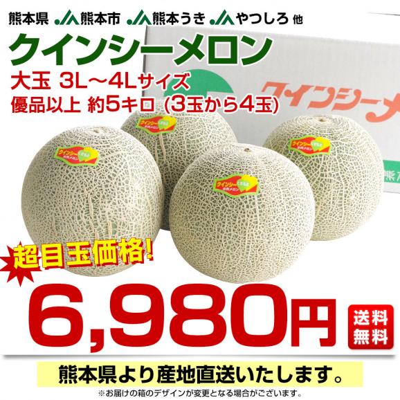 熊本県から産地直送 厳選クインシーメロン 大玉 優品以上 3Lから4L 約5キロ(3玉から4玉) 送料無料 JA熊本市 JA熊本うき JAやつしろ 他03