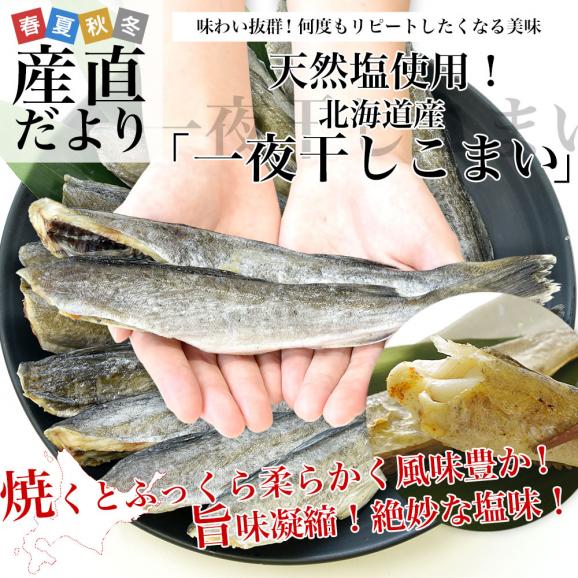 北海道産 一夜干しこまい 2Lサイズ 化粧箱 1箱 約500g（10尾前後） 送料無料 氷下魚 コマイ ※クール冷凍便02