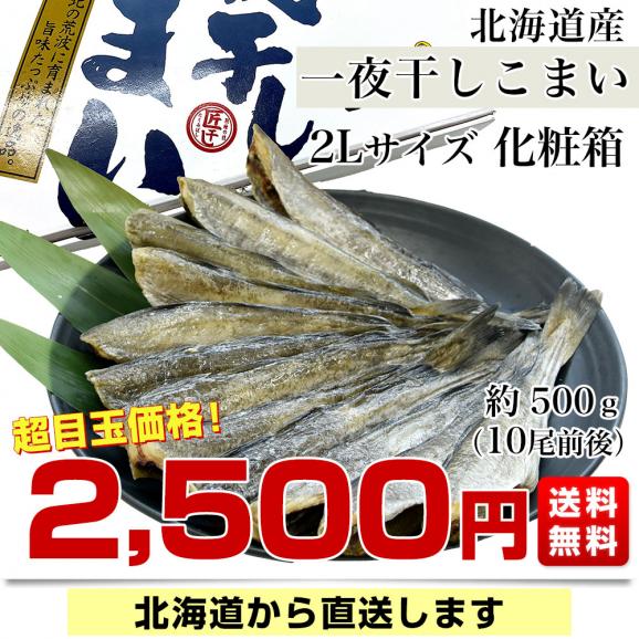 北海道産 一夜干しこまい 2Lサイズ 化粧箱 1箱 約500g（10尾前後） 送料無料 氷下魚 コマイ ※クール冷凍便03