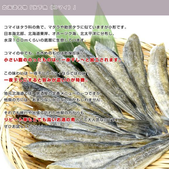 北海道産 一夜干しこまい 2Lサイズ 化粧箱 1箱 約500g（10尾前後） 送料無料 氷下魚 コマイ ※クール冷凍便04