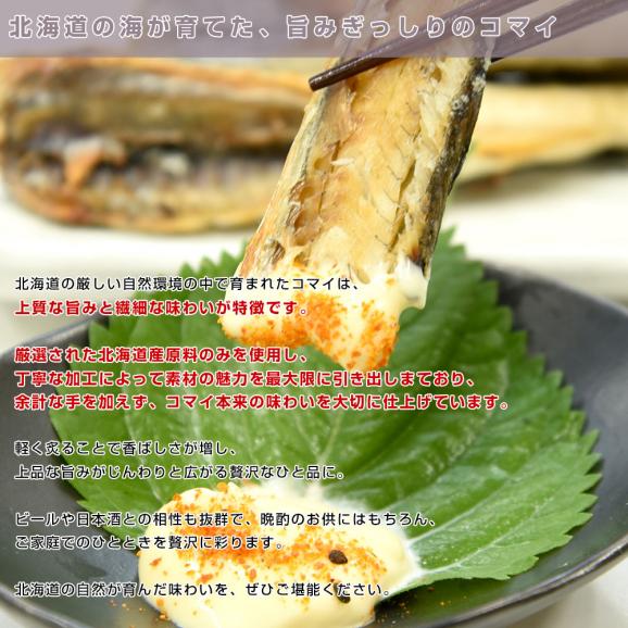 北海道産 一夜干しこまい 2Lサイズ 化粧箱 1箱 約500g（10尾前後） 送料無料 氷下魚 コマイ ※クール冷凍便05