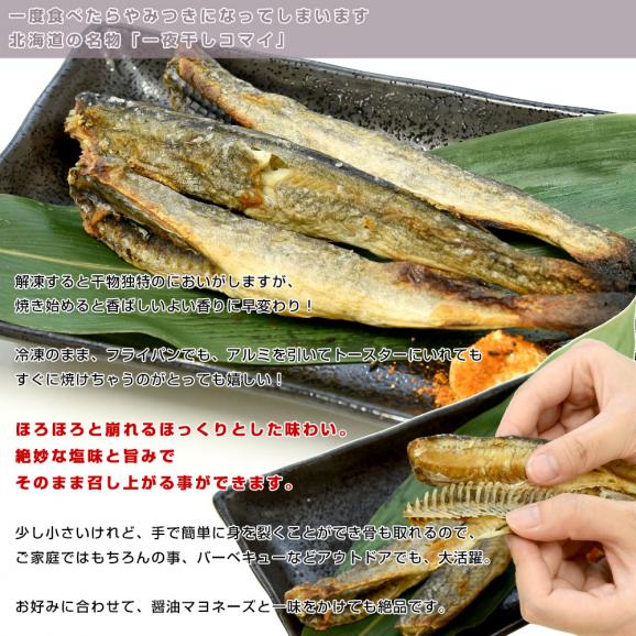 北海道産 一夜干しこまい 2Lサイズ 化粧箱 1箱 約500g（10尾前後） 送料無料 氷下魚 コマイ ※クール冷凍便06