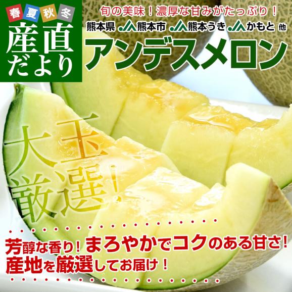 熊本県から産地直送 厳選アンデスメロン 大玉3Lサイズ 優品以上 約2.5キロ (2玉入) ※ JA熊本市 JA熊本うき JAかもと 他 送料無料 メロン 青肉02