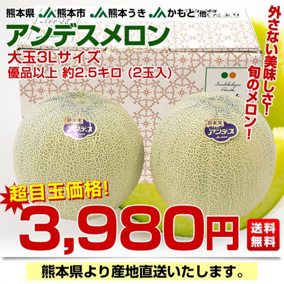 熊本県から産地直送 厳選アンデスメロン 大玉3Lサイズ 優品以上 約2.5キロ (2玉入) ※ JA熊本市 JA熊本うき JAかもと 他 送料無料 メロン 青肉03