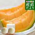 熊本県から産地直送 厳選クインシーメロン 大玉3Lサイズ 優品以上 約2.5キロ (2玉入) 送料無料 JA熊本市 JA熊本うき JAやつしろ 他 赤肉