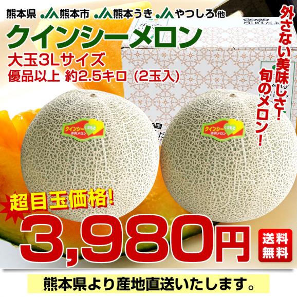 熊本県から産地直送 厳選クインシーメロン 大玉3Lサイズ 優品以上 約2.5キロ (2玉入) 送料無料 JA熊本市 JA熊本うき JAやつしろ 他 赤肉03