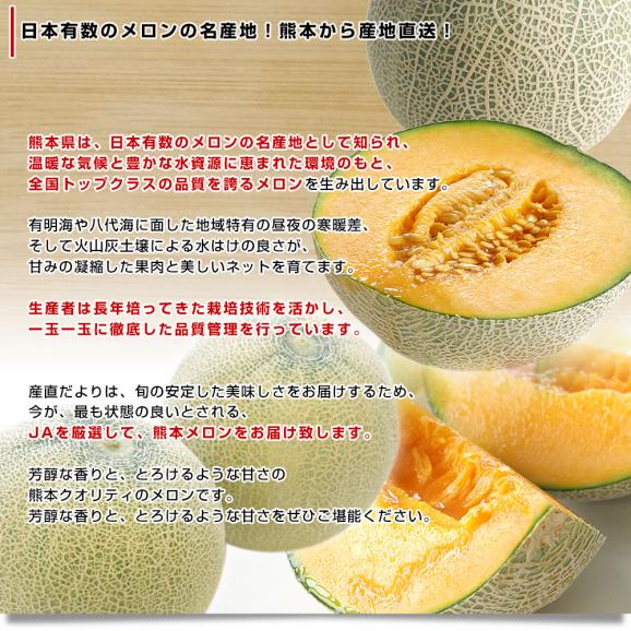 熊本県から産地直送 厳選クインシーメロン 大玉3Lサイズ 優品以上 約2.5キロ (2玉入) 送料無料 JA熊本市 JA熊本うき JAやつしろ 他 赤肉05