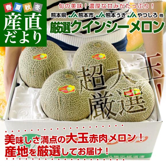 熊本県から産地直送 厳選クインシーメロン 大玉 優品以上　3Lから4L 約5キロ(3玉から4玉） 送料無料 JA熊本市 JA熊本うき JAやつしろ 他02