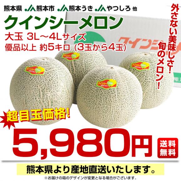 熊本県から産地直送 厳選クインシーメロン 大玉 優品以上　3Lから4L 約5キロ(3玉から4玉） 送料無料 JA熊本市 JA熊本うき JAやつしろ 他03