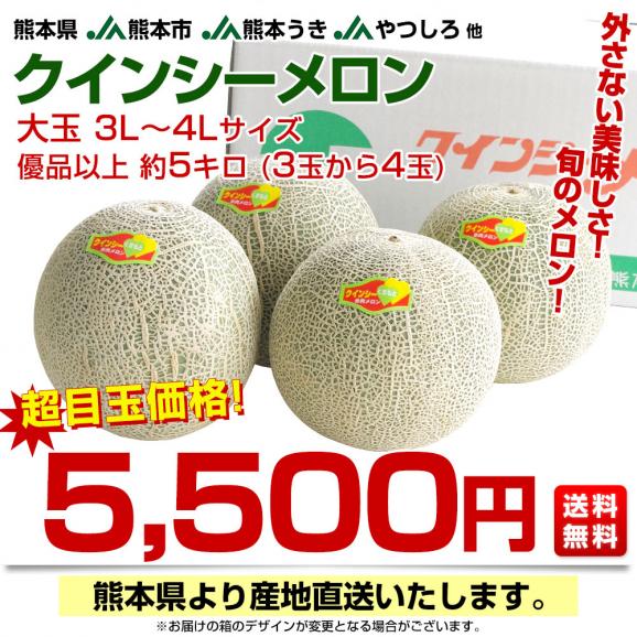 熊本県から産地直送 厳選クインシーメロン 大玉 優品以上 3Lから4L 約5キロ(3玉から4玉) 送料無料 JA熊本市 JA熊本うき JAやつしろ 他03