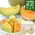 熊本県から産地直送 厳選メロンセット アンデスメロン&クインシーメロン 大玉3Lサイズ 優品以上 約2.5キロ (2玉入) 送料無料 JA熊本市 JA熊本うき JAやつしろ 他
