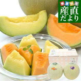 熊本県から産地直送 厳選メロンセット アンデスメロン＆クインシーメロン 大玉3Lサイズ 優品以上 約2.5キロ (2玉入) 送料無料 JA熊本市 JA熊本うき JAやつしろ 他