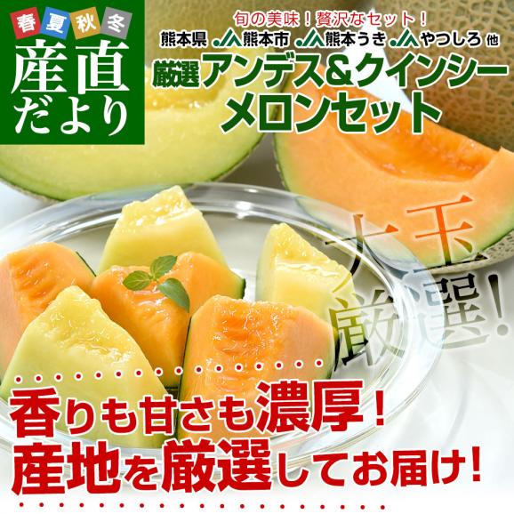 熊本県から産地直送 厳選メロンセット アンデスメロン＆クインシーメロン 大玉3Lサイズ 優品以上 約2.5キロ (2玉入) 送料無料 JA熊本市 JA熊本うき JAやつしろ 他02