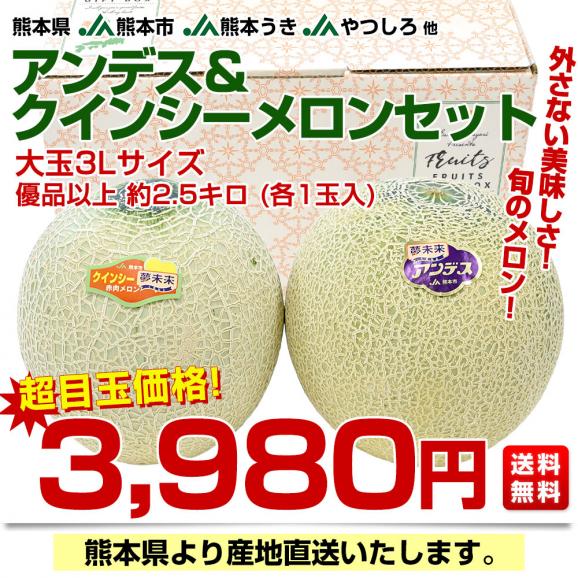 熊本県から産地直送 厳選メロンセット アンデスメロン＆クインシーメロン 大玉3Lサイズ 優品以上 約2.5キロ (2玉入) 送料無料 JA熊本市 JA熊本うき JAやつしろ 他03