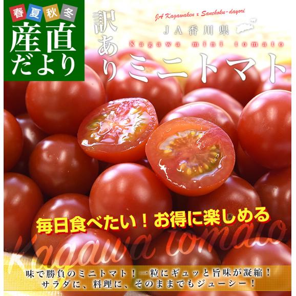 香川県産 ご家庭用　訳ありミニトマト  約800g（70粒から90粒前後）送料無料 野菜 やさい とまと02