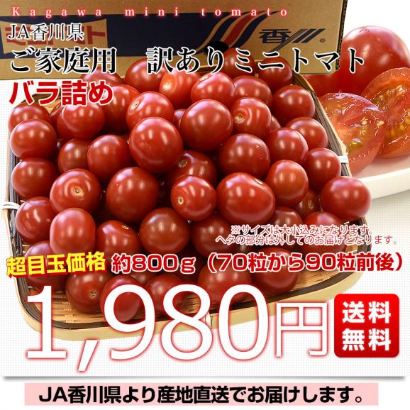 香川県産 ご家庭用　訳ありミニトマト  約800g（70粒から90粒前後）送料無料 野菜 やさい とまと03