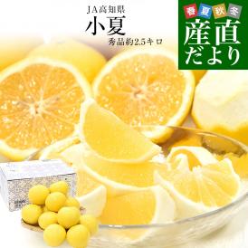 高知県産 JA高知県 小夏 秀品 約2.5キロ 2Lサイズ（11玉前後）送料無料 柑橘 かんきつ こなつ 