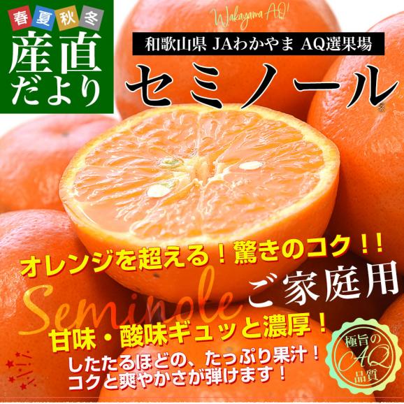 和歌山県 JAわかやま AQ選果場 セミノール ご家庭用 2LからL  2.5キロ(13玉から17玉前後) 送料無料 柑橘 タンゼロ みかん オレンジ02