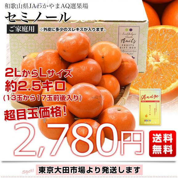 和歌山県 JAわかやま AQ選果場 セミノール ご家庭用 2LからL  2.5キロ(13玉から17玉前後) 送料無料 柑橘 タンゼロ みかん オレンジ03