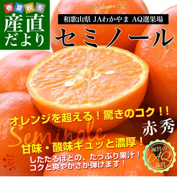 和歌山県 JAわかやま AQ選果場 セミノール 赤秀 2LからL  2.5キロ(13玉から17玉前後) 送料無料 柑橘 タンゼロ みかん オレンジ02