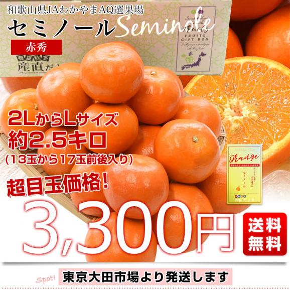 和歌山県 JAわかやま AQ選果場 セミノール 赤秀 2LからL  2.5キロ(13玉から17玉前後) 送料無料 柑橘 タンゼロ みかん オレンジ03