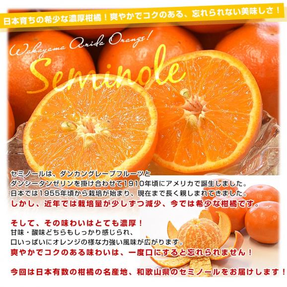 和歌山県 JAわかやま AQ選果場 セミノール 赤秀 2LからL  2.5キロ(13玉から17玉前後) 送料無料 柑橘 タンゼロ みかん オレンジ04