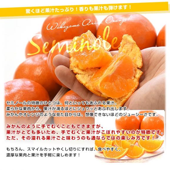 和歌山県 JAわかやま AQ選果場 セミノール 赤秀 2LからL  2.5キロ(13玉から17玉前後) 送料無料 柑橘 タンゼロ みかん オレンジ05