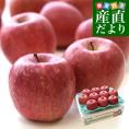 青森県より産地直送 マルジン・サンアップル 糖度14度以上 サンふじ 「紅蘭（こうらん）」 MCA貯蔵品 約3キロ (9玉から11玉) 送料無料 りんご リンゴ 林檎