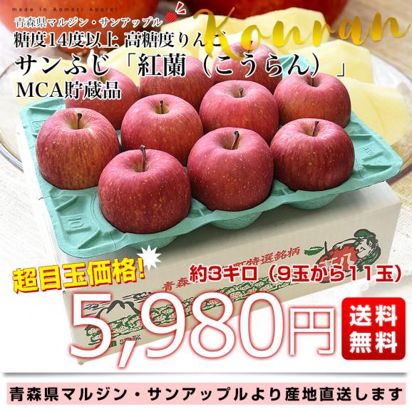 青森県より産地直送 マルジン・サンアップル 糖度14度以上 サンふじ 「紅蘭（こうらん）」 MCA貯蔵品 約3キロ (9玉から11玉) 送料無料 りんご リンゴ 林檎03