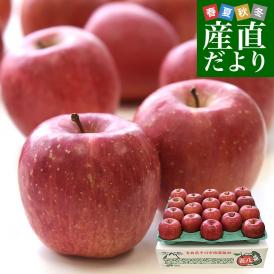 青森県より産地直送 マルジン・サンアップル 糖度14度以上 サンふじ 「紅蘭（こうらん）」 MCA貯蔵品 約5キロ (16玉から20玉) 送料無料 りんご リンゴ 林檎
