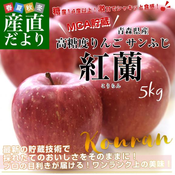 青森県より産地直送 マルジン・サンアップル 糖度14度以上 サンふじ 「紅蘭（こうらん）」 MCA貯蔵品 約5キロ (16玉から20玉) 送料無料 りんご リンゴ 林檎02