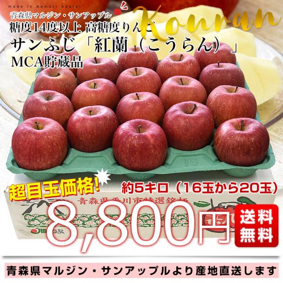青森県より産地直送 マルジン・サンアップル 糖度14度以上 サンふじ 「紅蘭（こうらん）」 MCA貯蔵品 約5キロ (16玉から20玉) 送料無料 りんご リンゴ 林檎03