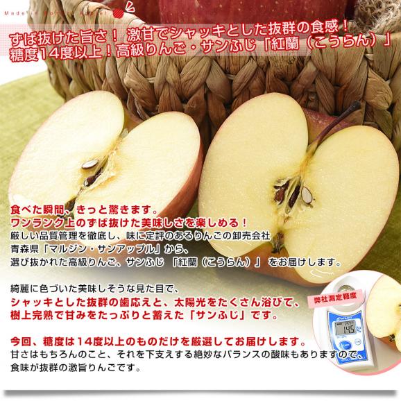 青森県より産地直送 マルジン・サンアップル 糖度14度以上 サンふじ 「紅蘭（こうらん）」 MCA貯蔵品 約5キロ (16玉から20玉) 送料無料 りんご リンゴ 林檎04