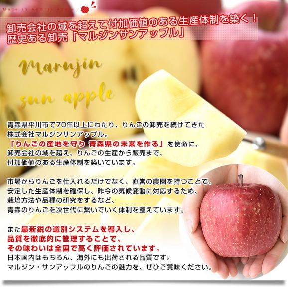 青森県より産地直送 マルジン・サンアップル 糖度14度以上 サンふじ 「紅蘭（こうらん）」 MCA貯蔵品 約5キロ (16玉から20玉) 送料無料 りんご リンゴ 林檎06