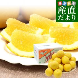 熊本県から産地直送 JA熊本果実連 ジューシーオレンジ(河内晩柑) 4Lから2Lサイズ 無印以上 7キロ以上 （14玉から19玉前後） 送料無料 柑橘 オレンジ