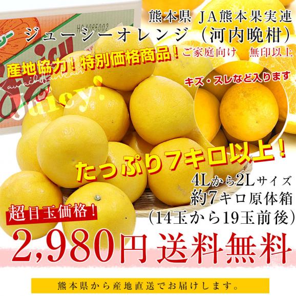 熊本県から産地直送 JA熊本果実連 ジューシーオレンジ(河内晩柑) 4Lから2Lサイズ 無印以上 7キロ以上 （14玉から19玉前後） 送料無料 柑橘 オレンジ03